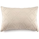 TOCOMOA Kissenbezug 40x60 cm Mikrofaser Kopfkissenbezug 2teilig, Beige Boho Kissen mit Reißverschluss, Premium und Hypoallergen Dekokissen Sofakissen, Dekorative Kissenhülle