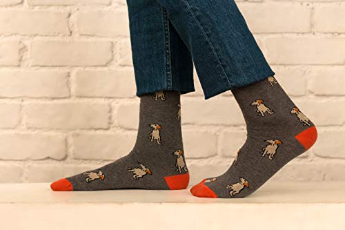 Image of Mint & Oak Long Socks For Men, Soft Cotton Calf Length Socks, Colorful Sock Gift For Men, Full Length & Odour Free, Funky Socks - Gift Box of 3