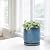 D'vine Dev Ceramic Beaded Stoneware Planter Pot - Flower Pot with Drainage Holes and Saucers, 27-C