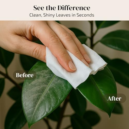 Plant Shine & Defense Duo – Toallitas y Spray con Aceite de Neem miniatura 7