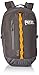 PETZL Adultos Mochila Bug, Color Gris - Gris, tamaño 32 × 21 × 1 cm, 18 Liter, Volumen Liters 18.0