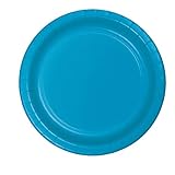 Creative Converting Touch of Color 24 Count Paper Dinner Plates, Turquoise