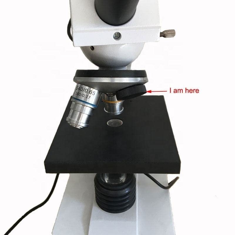 Microscope RMS Thread Plastic Black Microscope Accessories Objective Lens Dust Cover for Protection, 5pcs/1set