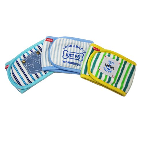 Alfie Pet - Gaki Belly Band 3-Piece Set for Male Pugs