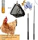 Hühnernetze Teleskopischer Hühnerfänger-Beinhaken,40cm Klappbar Hühnernetzfänger mit rutschfestem Gummigriff,kann 3,5 Pfund Huhn standhalten,landwirtschaftliche Werkzeuge,1 Handschuhe