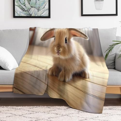 Couverture en lapin flannel douce plaid lit et canapé 140x180cm