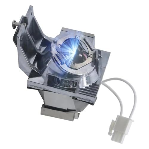 Pièce de projection RLC-116 rechange pour projecteurs PX700HD