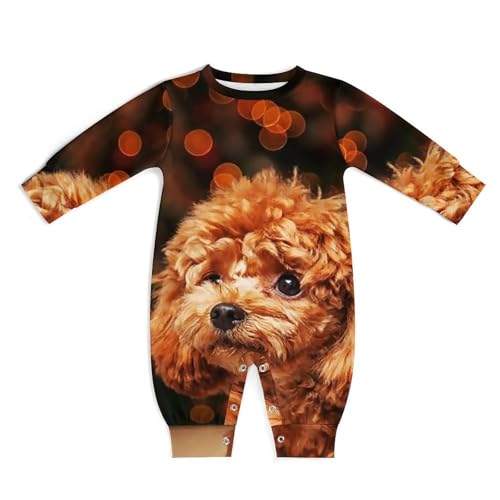 [A^`[] xr[ v[h  GG (1) p[X Ԃ V ̎q j̎q OJ _炩 v[g 6-9M