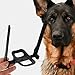 Toddmomy Doberman Dog Ear Posting Kit, Dog Ear Stand Up Support Tool with Tape and 2 Vertical Dog Ear Fixed Correction Sticks for Doberman Pinscher Dogs Puppy