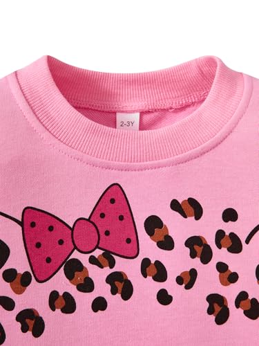 Image of Little Girls Outfits 2 Piece Toddler Long Sleeve Sweatshirt Leggings Pants Fall Winter Clothing Set 2-10 Years