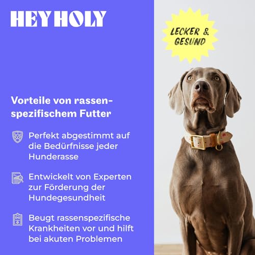HEY HOLY Premium Nassfutter für große Jagdhunde 100% getreidefrei | 6X 400g Hundefutter für ausgewachsene große Jagdhunde mit Ente | Hochverträglich aus natürlichen Zutaten