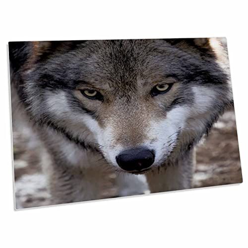 Pad para escritorio 3dRose Timber Wolf 23x16 pulgadas