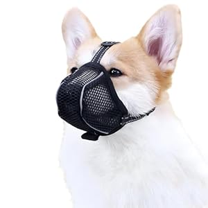 VZU Atmungsaktiver Maulkorb für Hunde