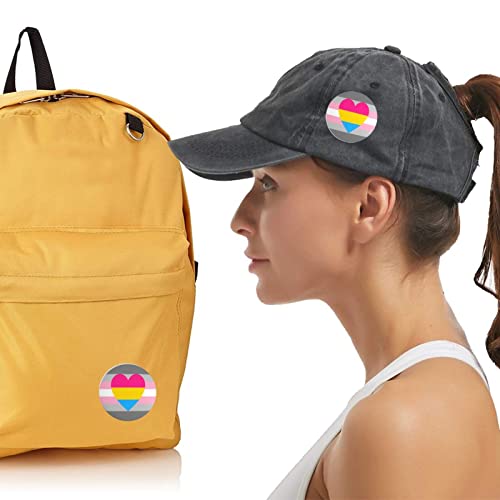 Demigirl Pansexual Demi Girl Pan Pride Flag Buttons Badges 1.2 Inch (30mm) Round Brooch Pins Decor3