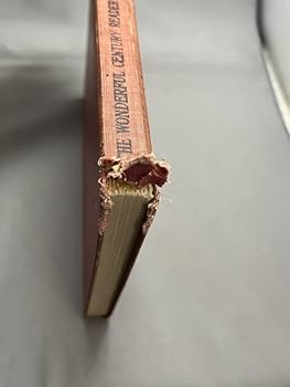 洋書 YO 9_0023772103_s.jpg