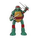 Teenage Mutant Ninja Turtles 11