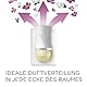 Air Wick Duftölflakon Nachfüller, Seide & Lilienfrische, 1er Pack (1 x 19 ml)