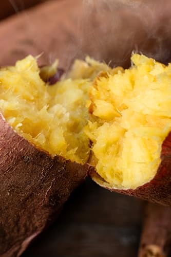 末永商店 訳あり 不揃い 鹿児島県 日置市産 さつまいも 熟成 紅はるか 約6kg[入金確認後、2ヶ月以内の発送]