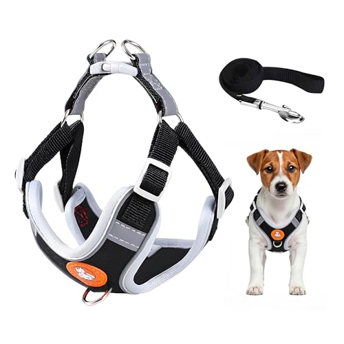 Harnais Chien Petite Taille avec Laisse Réfléchissant, Harnais Chiot en Maille Souple, Gilet Réglable Facile à Mettre, Arnet pour Chien Petit et Moyen pour...