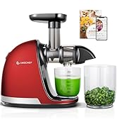 AMZCHEF Juicer Machines - Cold Press Slow Juicer - Masticating