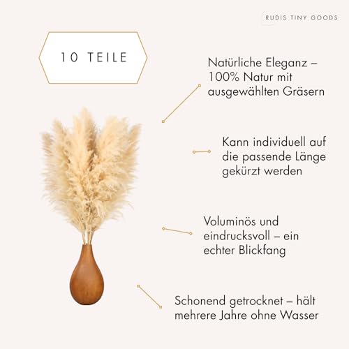 Pampasgras groß 100 cm - Trockenblumenstrauß XXL - Trockenblumen Boho Deko Beige Schlafzimmer Wohnzimmer Badezimmer Hochzeit Tischdeko getrocknet (10 Stück)