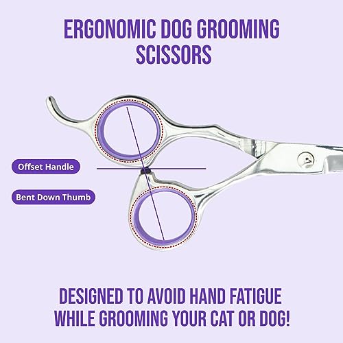 Grooming Scissors, Stainless Steel Dog Shears with Safety Rounded Tip, Dog Grooming Kit, Set of Two Dog Scissors in a Leather Cover, Professional Pet Shears Grooming Scissors, Stainless Steel Dog Shears with Safety Rounded Tip, Dog Grooming Kit, Set of Two Dog Scissors in a Leather Cover, Professional Pet Shears