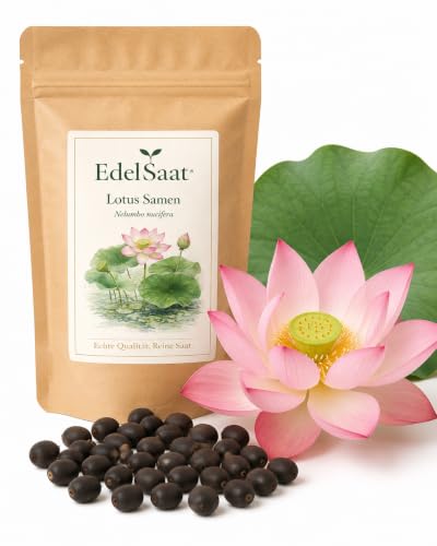 EdelSaat® 30 Premium Lotus Samen – Nelumbo nucifera | Winterhart