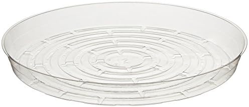 Curtis Wagner Round Clear Vinyl 12" Plant Saucer - 25 Pack