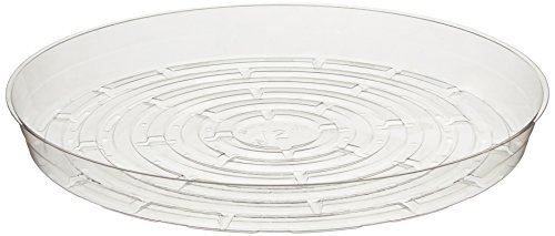 Curtis Wagner Round Clear Vinyl 12" Plant Saucer - 25 Pack #TOP1