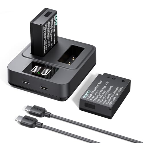 llano 2-Pack LP-E17 Batteries & 20W Fast Charger Set - for Canon EOS R50 R8 R10 R100 RP T6i T7i T8i T6S SL2 SL3 M3 M5 M6 77D 200D 250D 750D 760D 800D 8000D - Real Capacity, USB-C Fast Charging