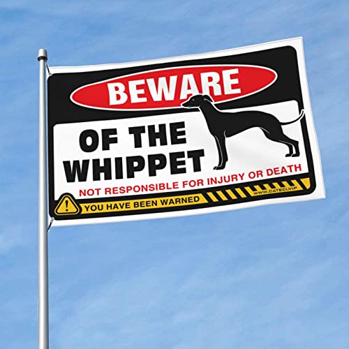 Drapeau Whippet pour habiller les grands murs blancs des dortoirs et chambres d'étudiants