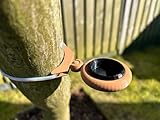 Feeder Ring for Exo Terra - Black 5-Pack - Reptile Feeding Ring for Small Feeding Cups (Compatible with Geckos, Lizards, Leopard Dragons, Chameleons)