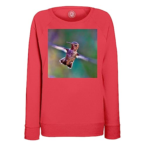 Sweatshirt colibri femme motif oiseau imprimé dynamique unique