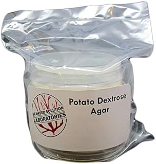 Potato Dextrose Agar PDA - Sterilized - 5, 100mm x 15mm Plates- Great For Growing Mushrooms