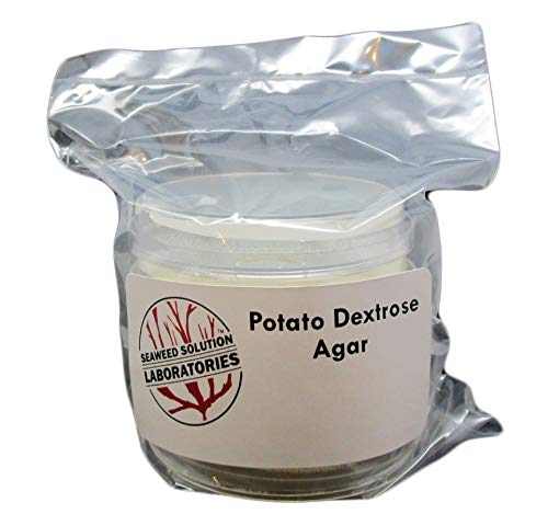 Potato Dextrose Agar PDA - Sterilized - 5, 100mm x 15mm Plates- Great For Growing Mushrooms