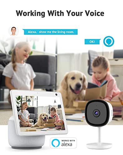 Laview Security Camera 2K Resolution, Clear Night Vision Cameras For Home Security Indoor, Works With Alexa & Google Assistant, Motion Detection,Two-Way Audio, Cloud Storage/Sd Slot, (Lv-Pwf2-2Pk) #TOP7