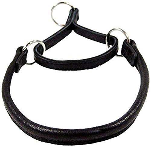 Dogline 1/4-Inch Wide Soft Rolled Genuine Leather Martingale Collar, 12-Inch, Black #TOP16