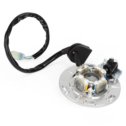 Alternateur stator de précision pour Yamaha YZ250 5CU-85560-20
