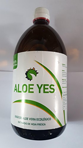 Preisvergleich Produktbild Aloe Vera Flasche 1 l 99.8%