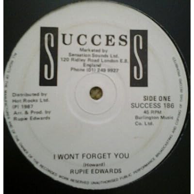 I Wont Forget You