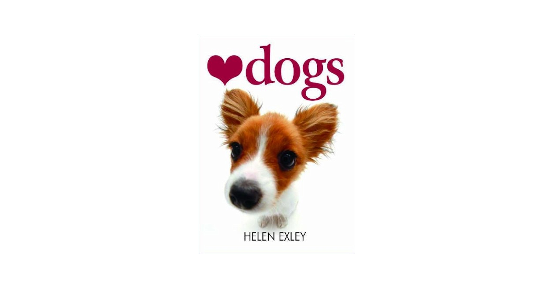 額装「忠犬」Dogs are very loyal Fender® Monogram Logo Dog Leash