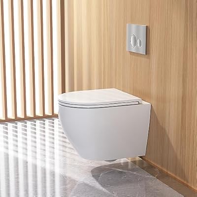 DeerValley In-Wall Toilet Combo Set and Carrier System, Wall Mounted Toilet with Soft Closing Seat 1.1GPF/1.6 GPF Dual Flush DV-1F0070-CF (White, 14.6 * 16.9)