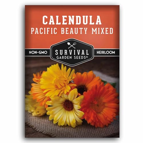 Pacific Beauty Mix Calendula Seeds for Planting – Colorful Heirloom Pot Marigold with Edible & Medicinal Flowers, Pollinator Friendly – Survival Garden Seeds (1 Pack)