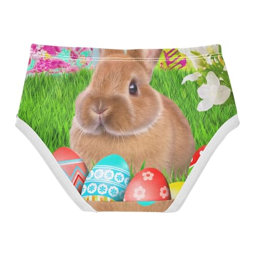 Brown Bunny Easter Eggs Green Girls Underwear Toddlers 2t Cotton Panties Little Girl Animal Briefs Girls Undies2