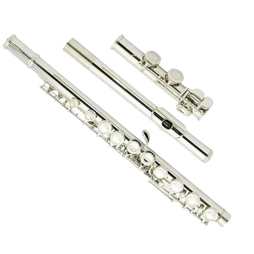 ���S�� �t���[�g �g�b�v�t���[�g�� 16 ���j�b�P�����b�L�����q C �L�[�t�� E �L�[�y��