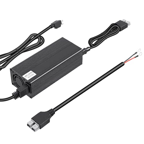 Image of Diffpower 12/24V 30A Adjustable Smart Battery Charger Portable for LiFePO4 Lithium Lead Acid Batteries for Cars Scooters