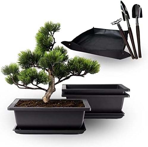HäMO Bonsai Training Pots with Drainage Humidity Tray - Built in Mesh, 9 Inch Large Bonsai Tree Pot Planter, Set of 3 Bonsai Pots Set with Repotting Mat and 3 Mini Gardening Tools.