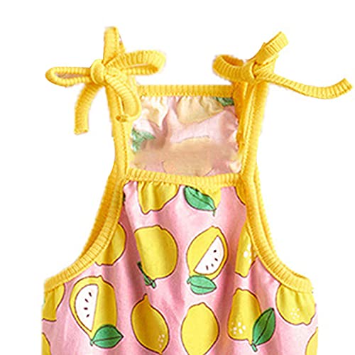 Pet Dress Fruit Print Breathable Sleeveless Cat Dog Pullover Dress Pet Clothing Dog Dress Accessories - Xl Orange Fruit #TOP7