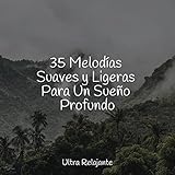  El Viaje