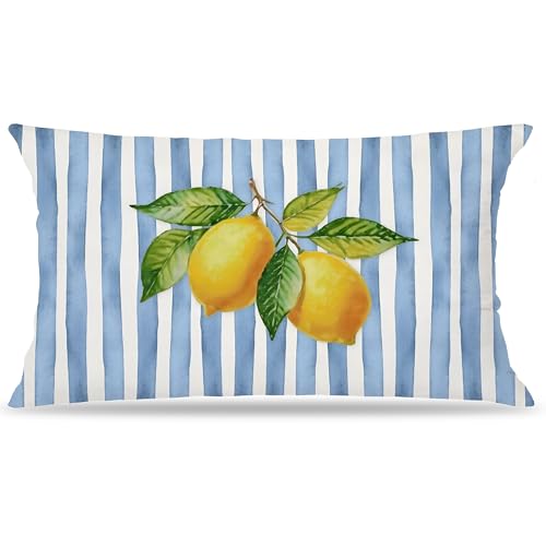 EUYTHNGYF Blue and Yellow Summer Italian Mediterranean Amalfi Coast Lemon Pillow Cover Decor 12x20 Italian Striped Decorative Throw Pillow Cover Decor for Couch Double-Sided